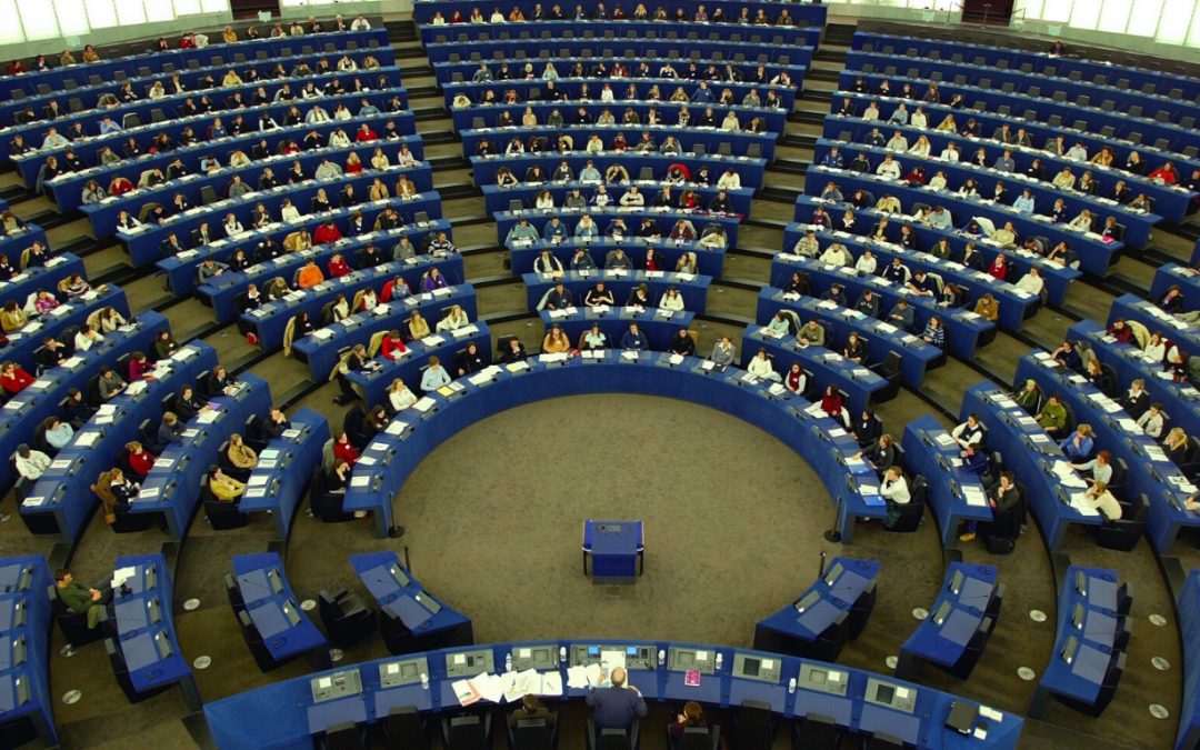 European Parliament endorses the European Green Deal