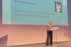 Nucleareurope participates in SMR networking event