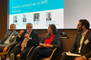 ESMRPP holds workshop dedicated to financing SMRs