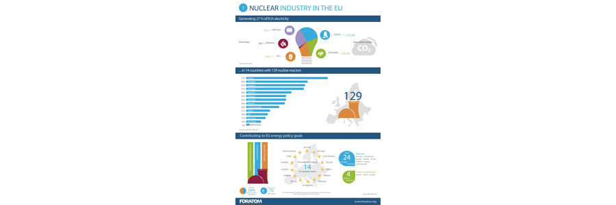 Nuclear Industry in the EU n°1
